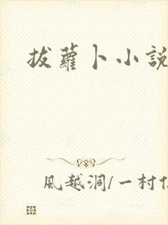 拔萝卜小说封面