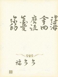 你怎么舍得让我的爱流向海