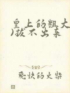 皇上的粗大(h)拔不出来封面