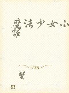 魔法少女小圆小说