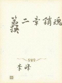 第二章销魂的交换