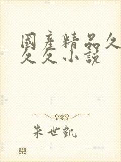 国产精品久久久久久小说