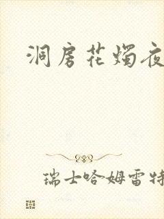 洞房花烛夜小说封面