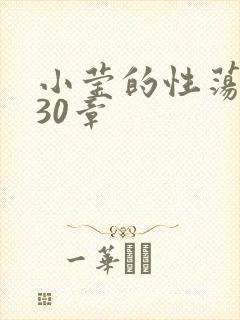 小莹的性荡生活30章封面