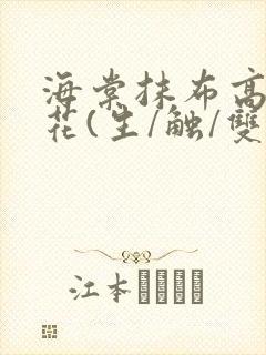 海棠抹布高岭之花(生/触/双)