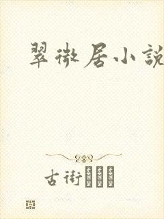 翠微居小说封面