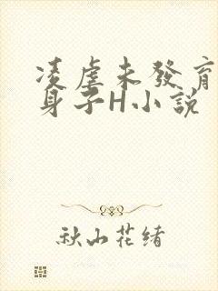 凌虐未发育的小身子H小说