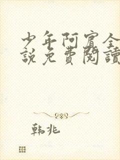 少年阿宾全文小说免费阅读笔趣阁