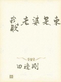 我老婆是东方不败封面