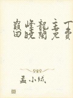 巅峰龙主丁长顺田晓兰免费阅读封面