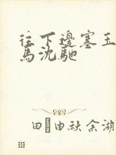 往下边塞玉器骑马沈驰