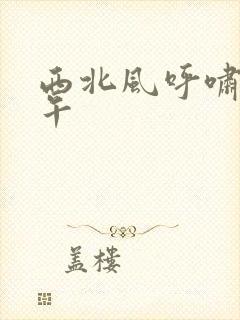 西北风呼啸的中午