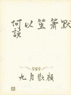 何以笙箫默 小说