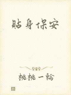 贴身保安封面