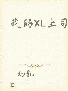 我的XL上司