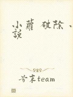 小萝 破除 小说封面