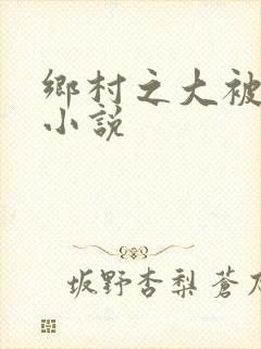 乡村之大被同眠小说