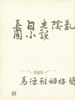 长日光阴乱作一团小说