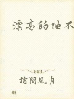 漂亮的他不说话