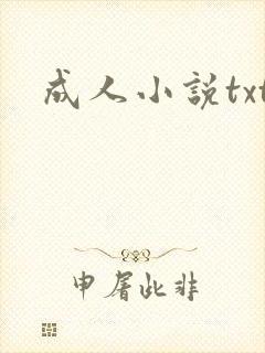 成人小说txt