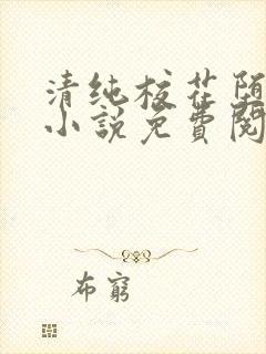 清纯校花堕落记小说免费阅读封面