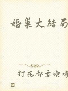 婚巢大结局封面
