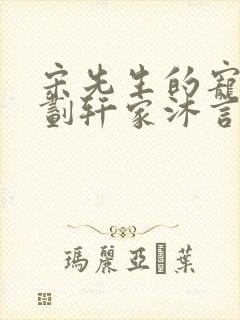 宋先生的宠妻计划轩家沐言