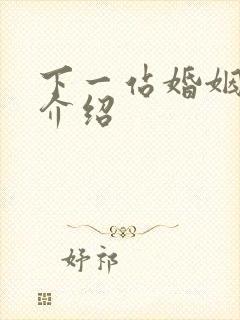 下一站婚姻剧情介绍