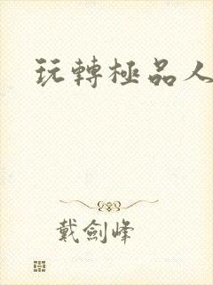 玩转极品人生封面