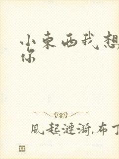 小东西我想弄坏你