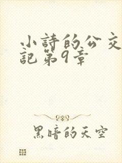 小诗的公交车日记第9章