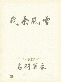 我乘风雪
