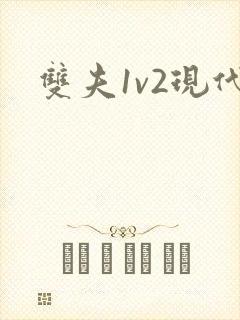 双夫1v2现代封面