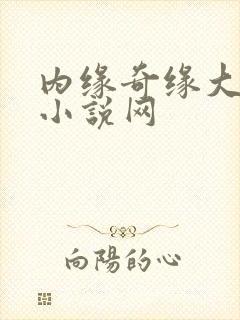 内缘奇缘大团圆小说网