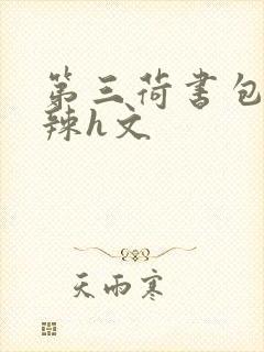 第三荷书包网高辣h文