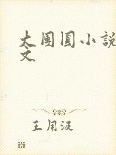 大团圆小说集全文