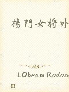 杨门女将外传