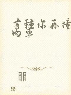 有种你再撞一下肉车封面