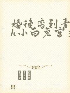 婚后脔到青梅哭h小白兔宫交h