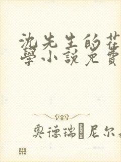 沈先生的花式教学小说免费