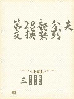 第28部分夫妇交换系列封面