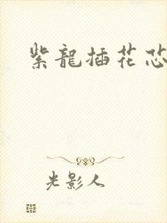 紫龙插花芯方正