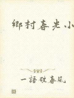 乡村春光小说