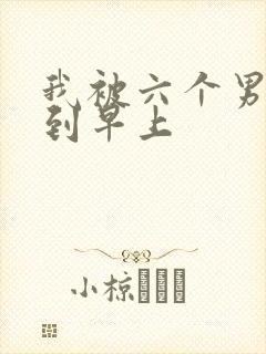 我被六个男人躁到早上封面