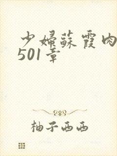 少妇苏霞肉欲第501章