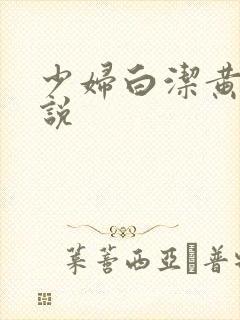 少妇白洁黄色小说封面