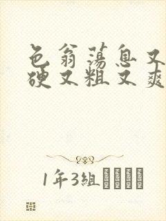 色翁荡息又大又硬又粗又爽小莹