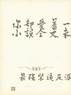 你却爱着一个他小说全文未删减免费