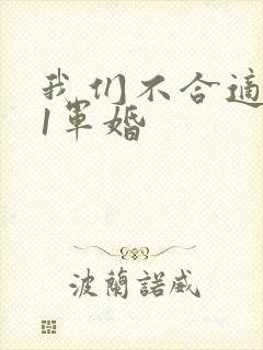 我们不合适1v1军婚封面