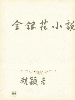 金银花小说乐可封面